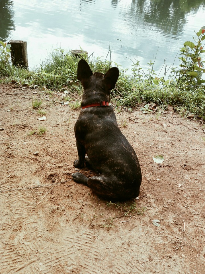Einmal am Angelteich mit Tyson