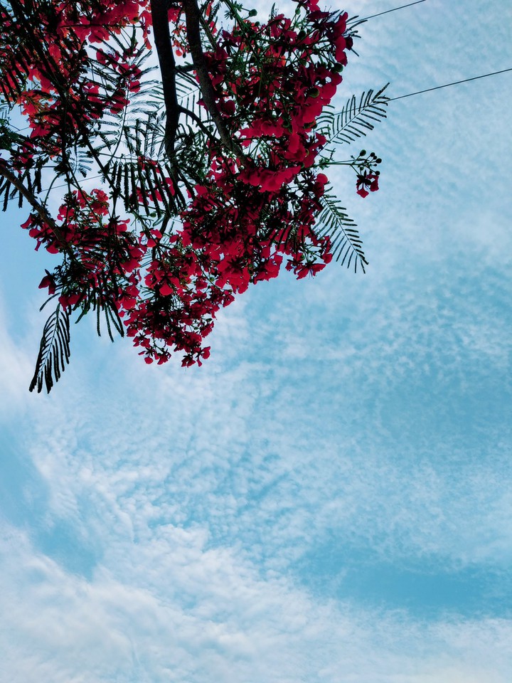 beauty of... sky