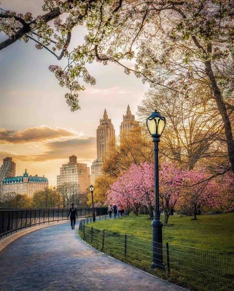 Central Park