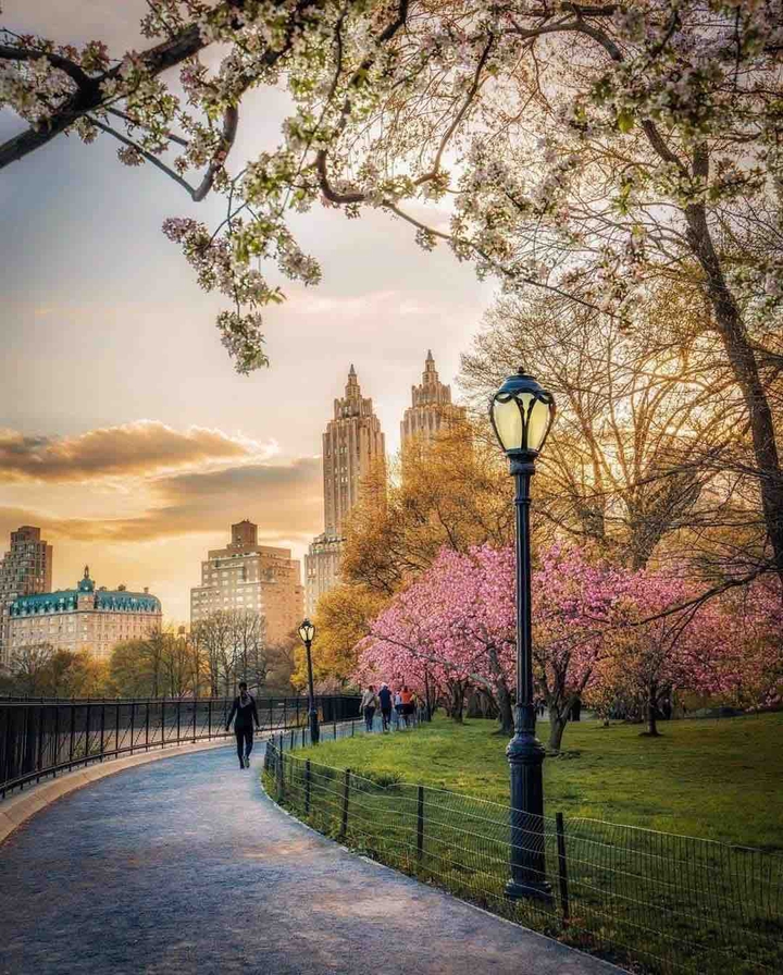 Central Park