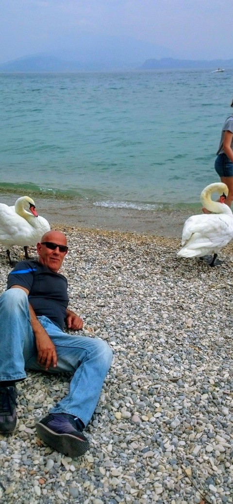 тапети bird, vacation