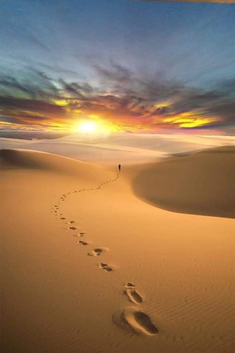 Desert, Natural_environment, Erg