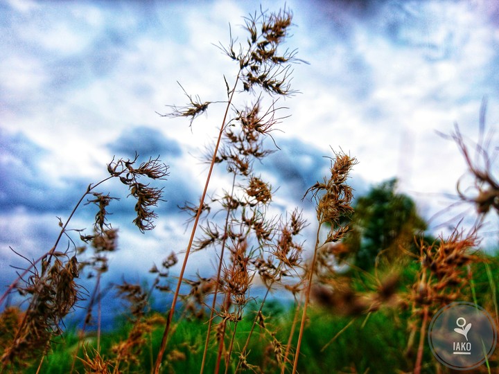 nature ❤ in georgia