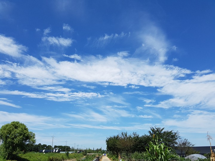 sky-2