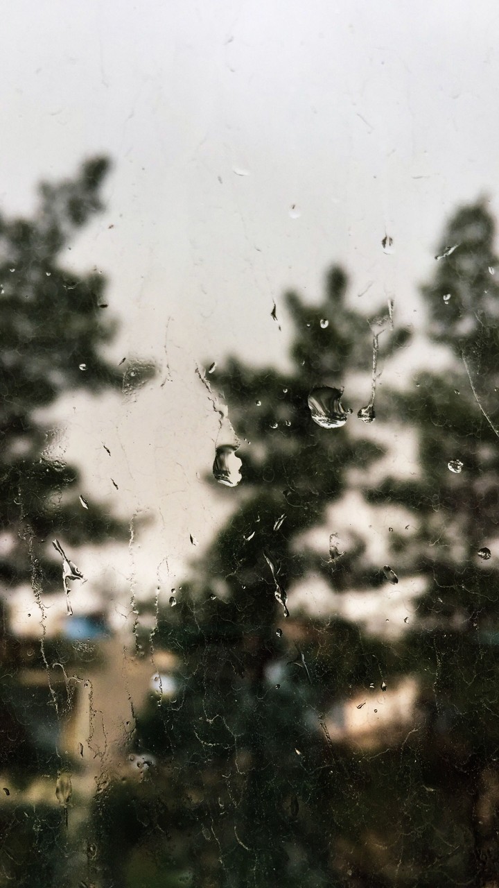 rainy window