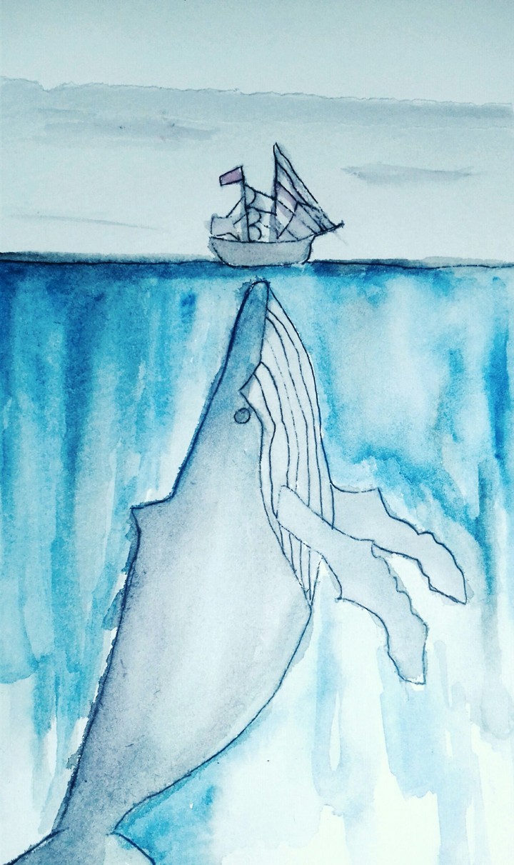 Blue Whale