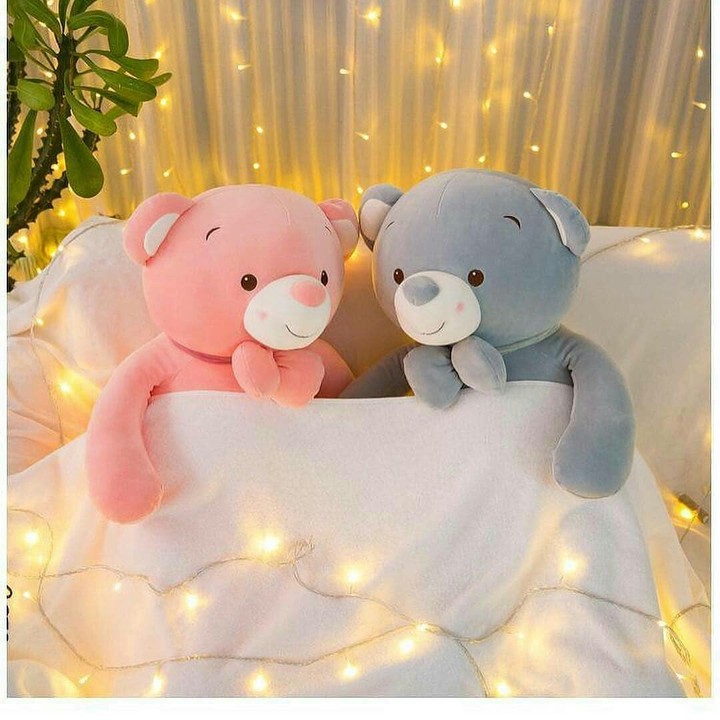 Teddy
