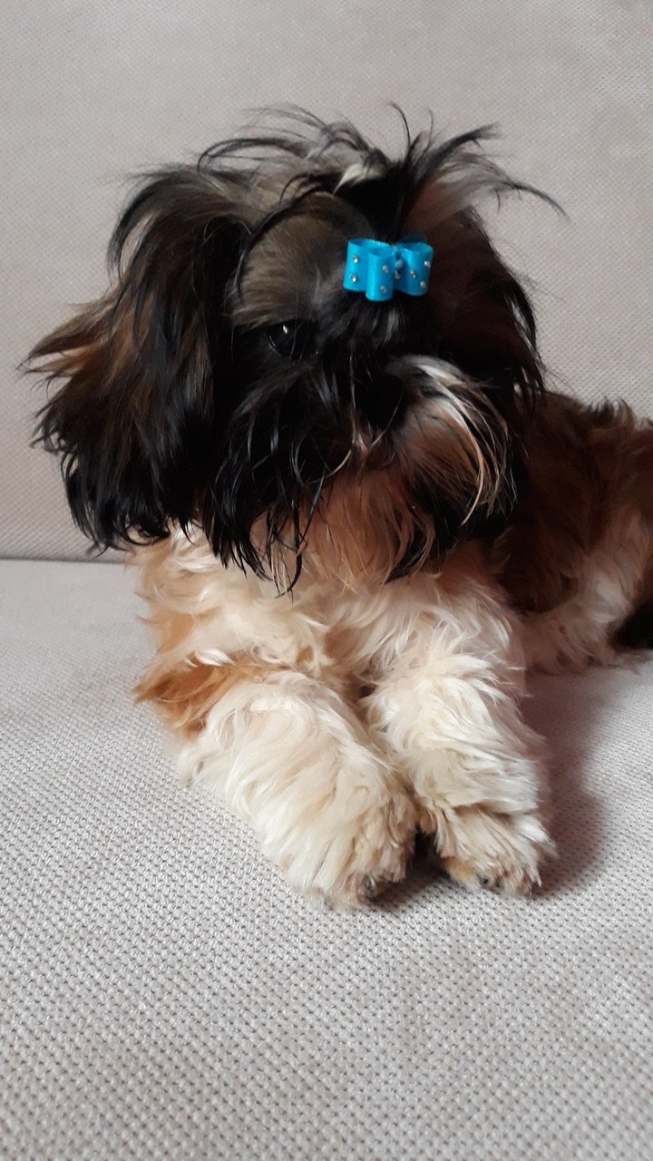 model
