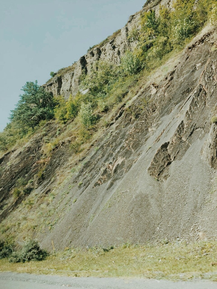 з