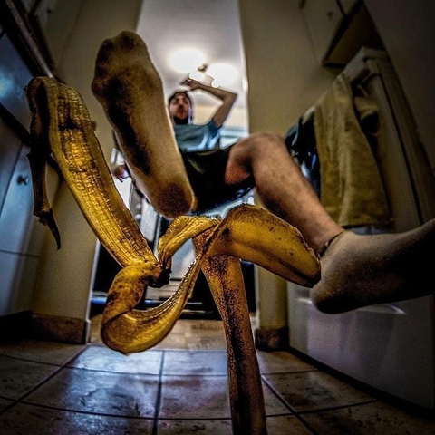 тапети Boa, snake