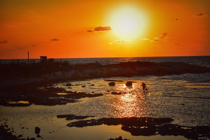 sea