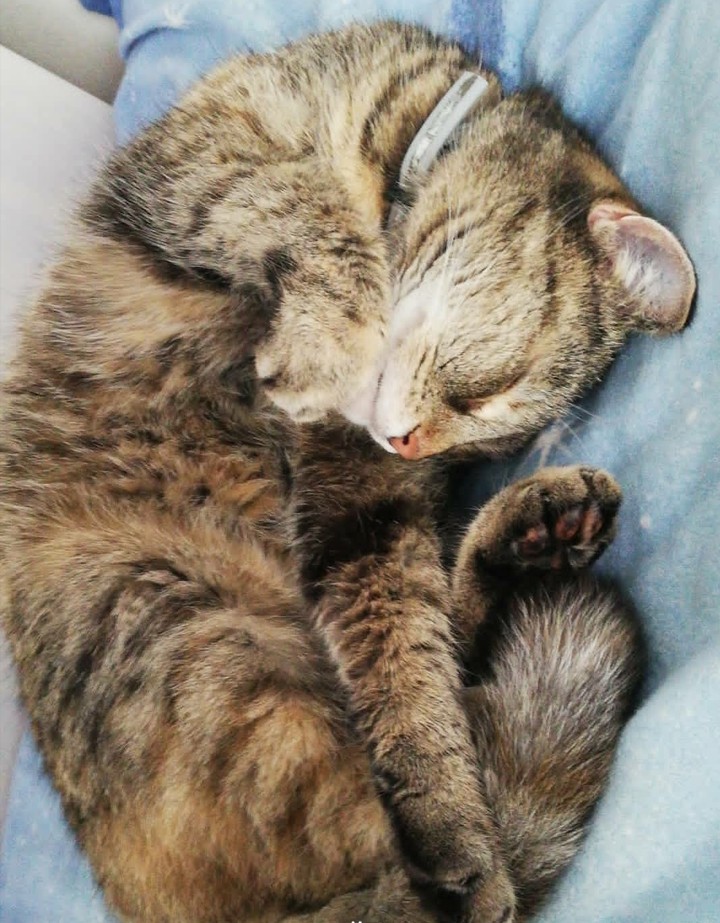 cuddle