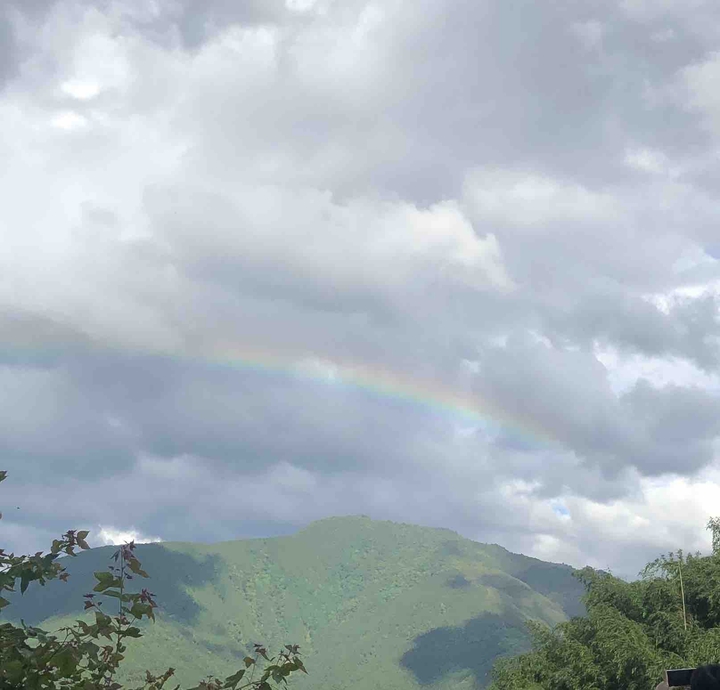 Rainbow