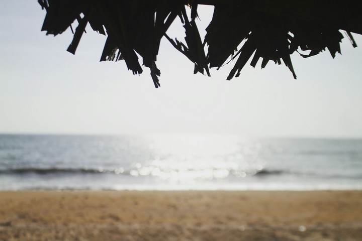 Beachaholic
