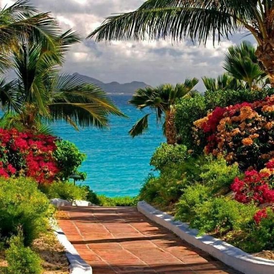 Nature❤