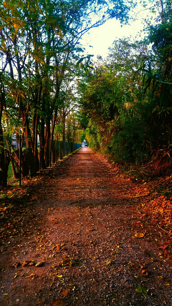 Street