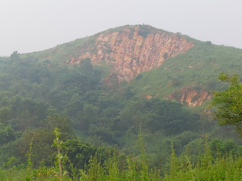 Green Abode