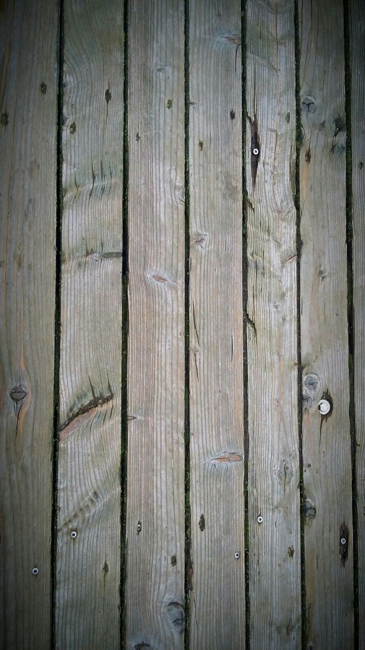 Woods.