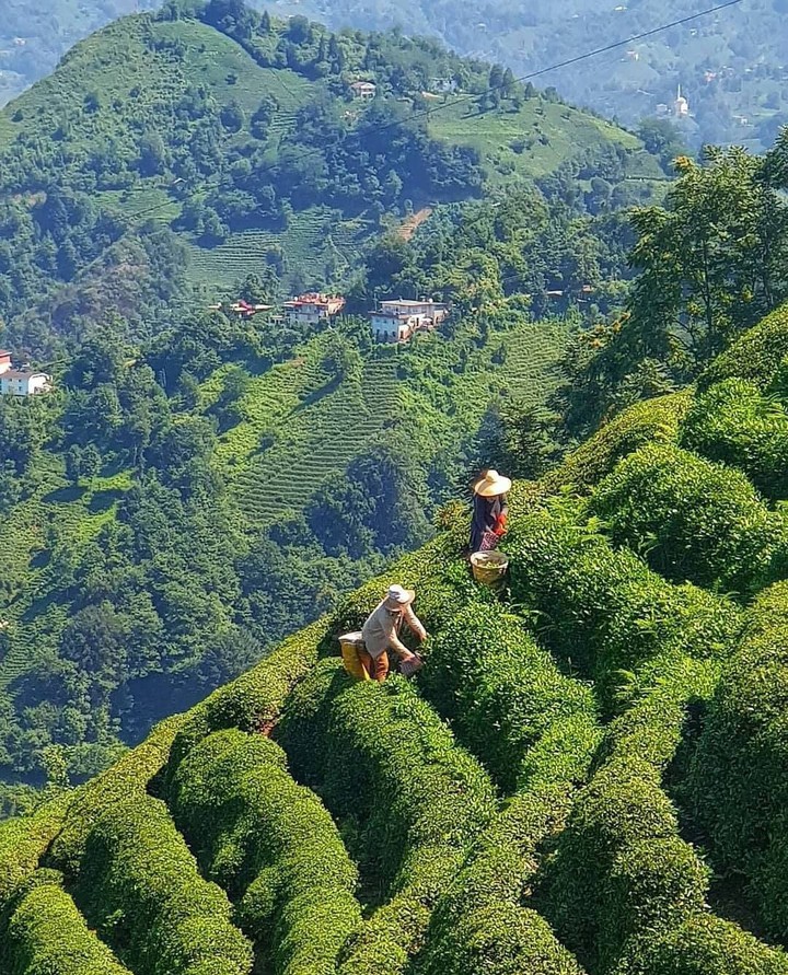 ⛰☘⛰☘⛰☘☺