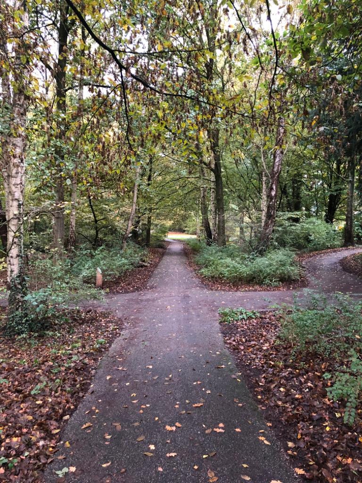 park
