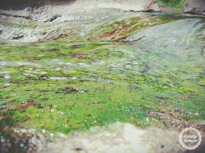 Green Water