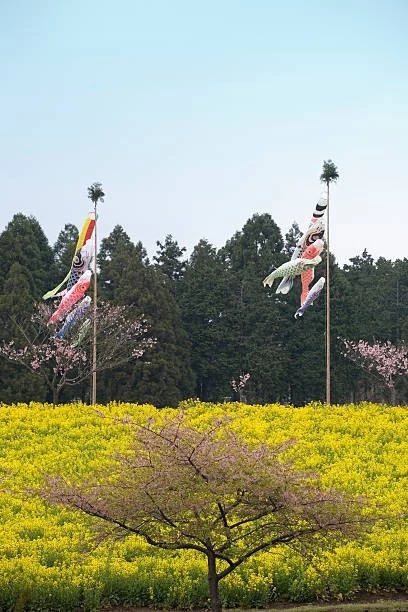 spring meadow & koi streamers