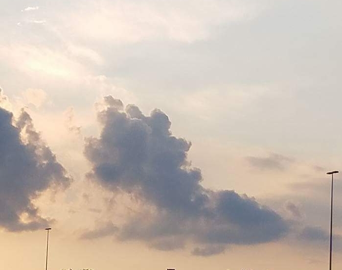 lion cloud