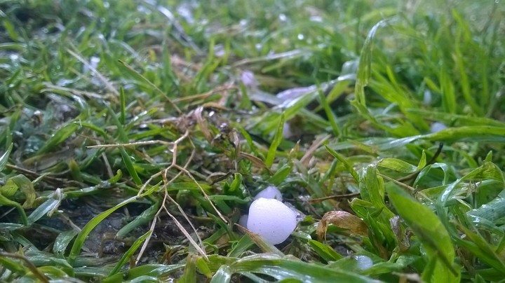 Snow