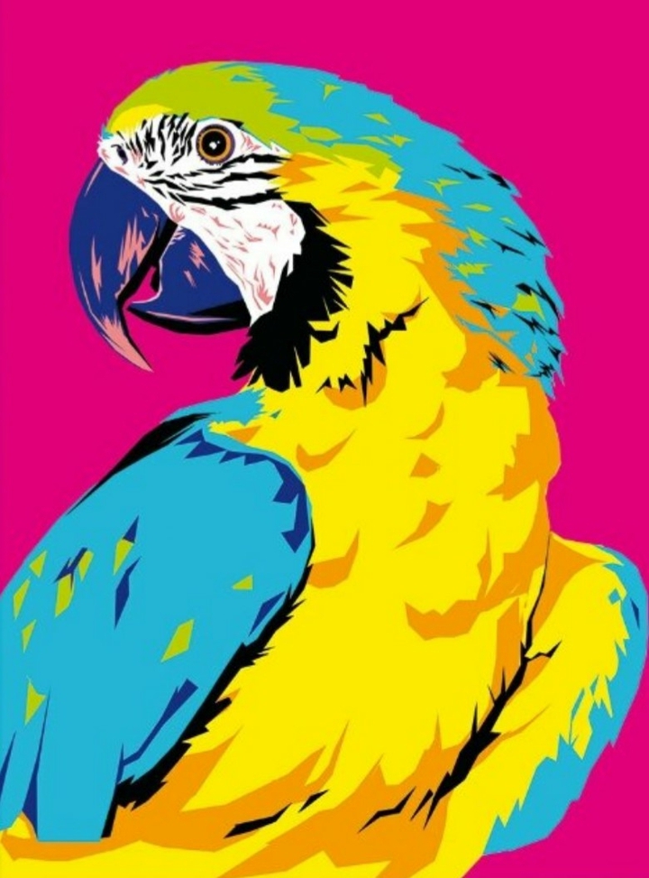 a parrot