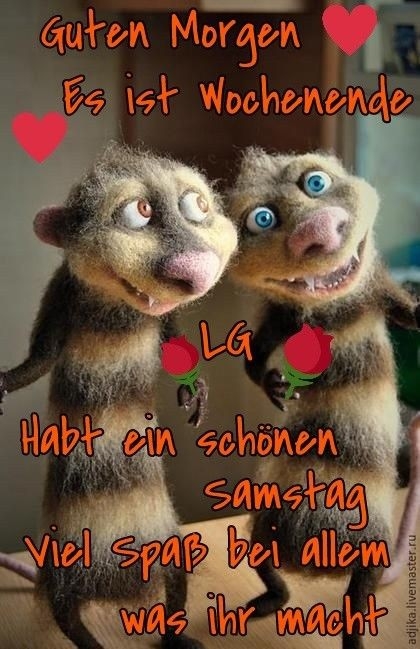 genau