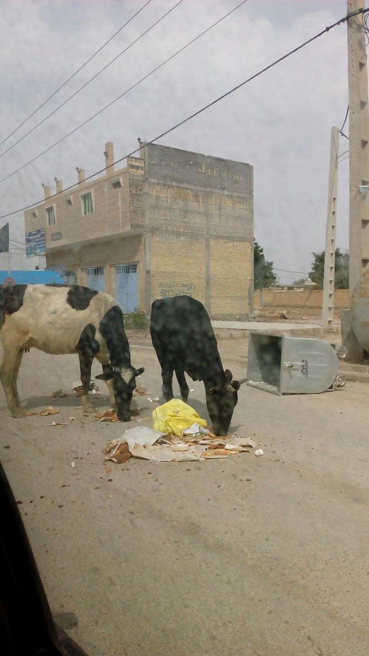 اروند کنار