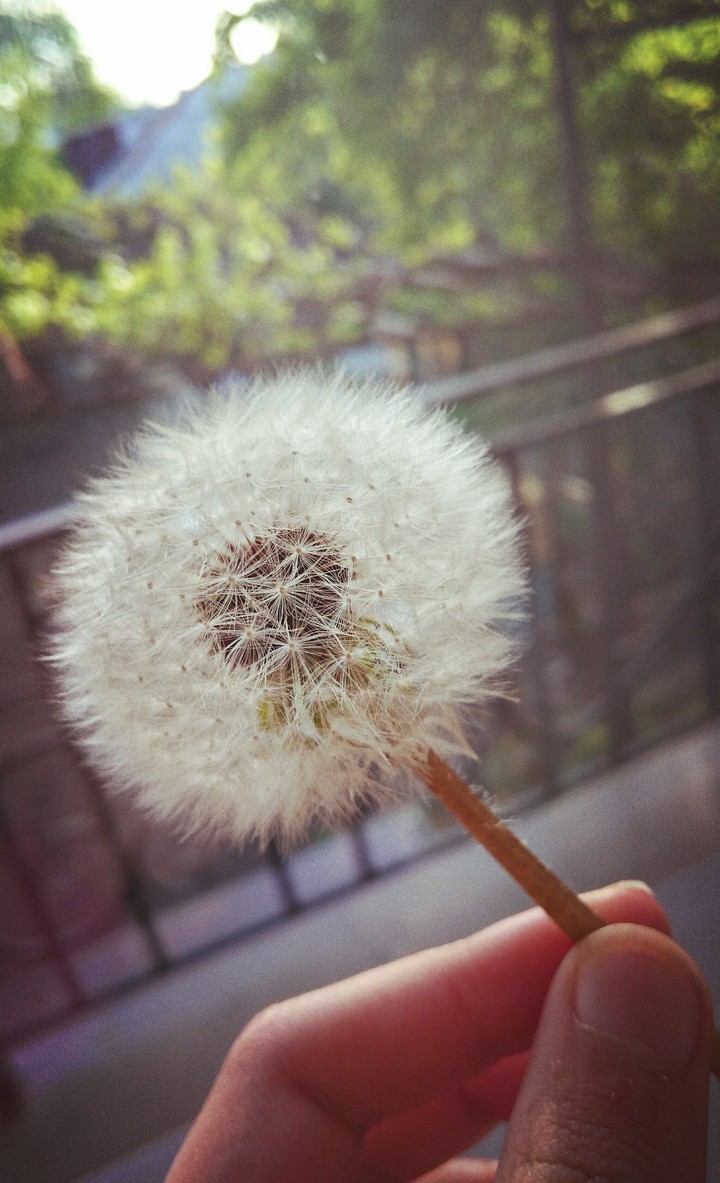 Beauty