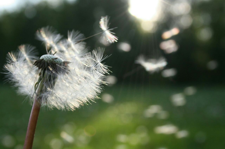 Take care of beautiful nature