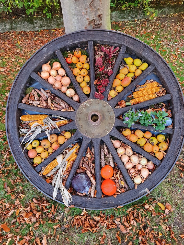 im on the road...so my tyre of life is full of colours