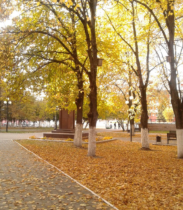 прогулка