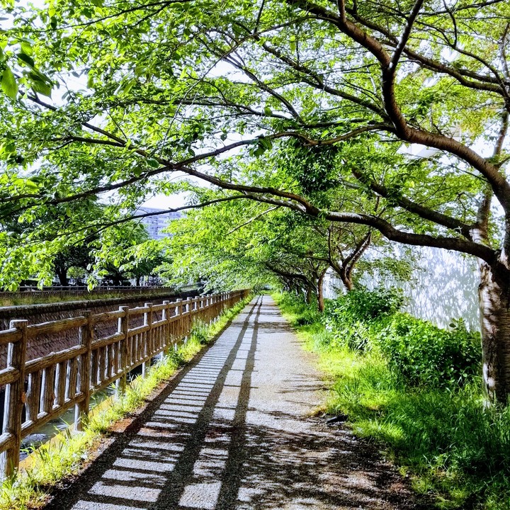 Ebina Northern Park