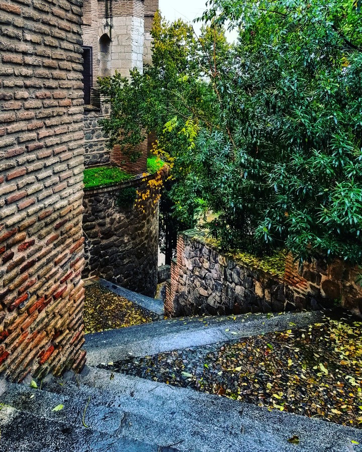 Toledo