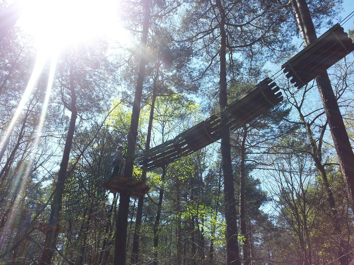 accrobranche