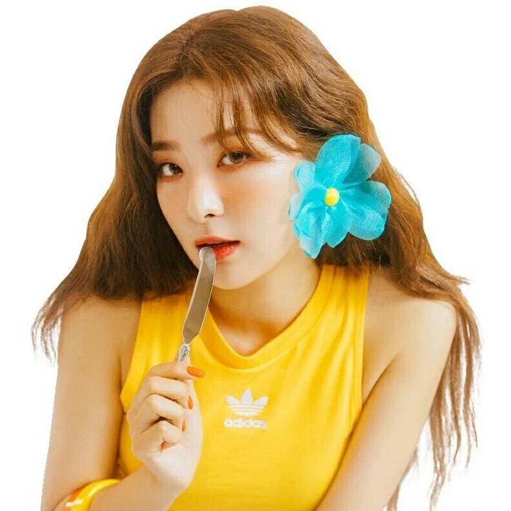 Red Velvet*