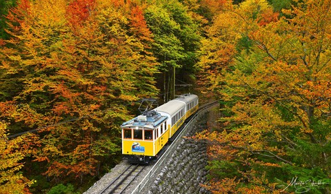 train, Autumn Hintergrundbilder