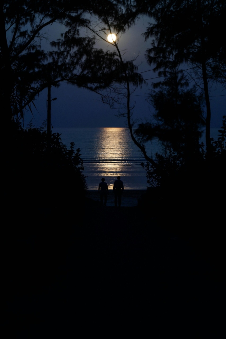 Night Strolling