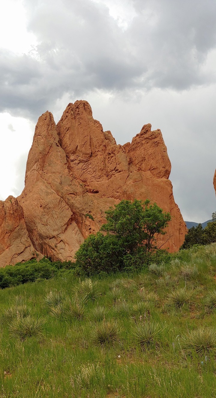 Garden of the Gods 8