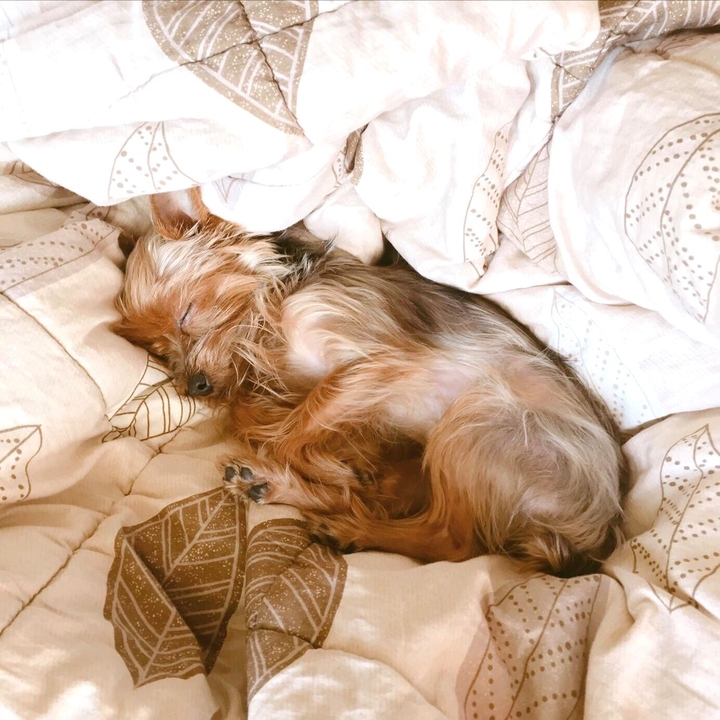 Sleep.