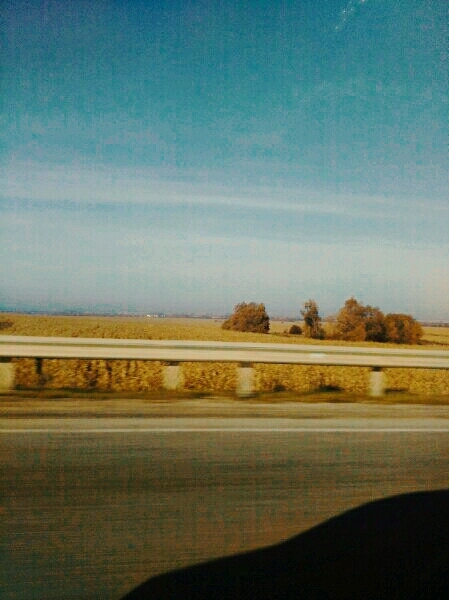 Somewhere near.