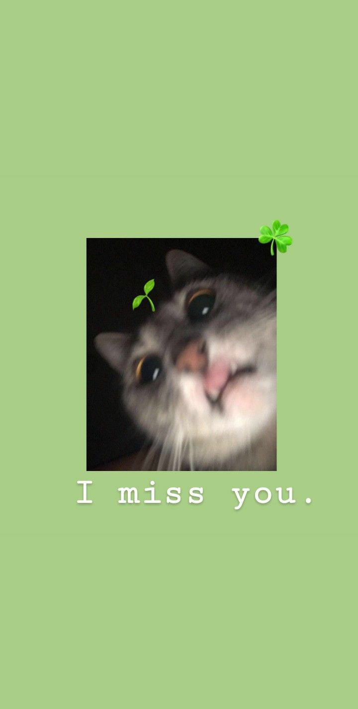 RN