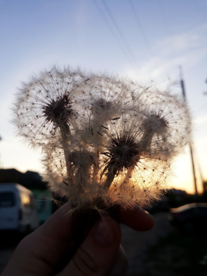 ▪sunset○•°