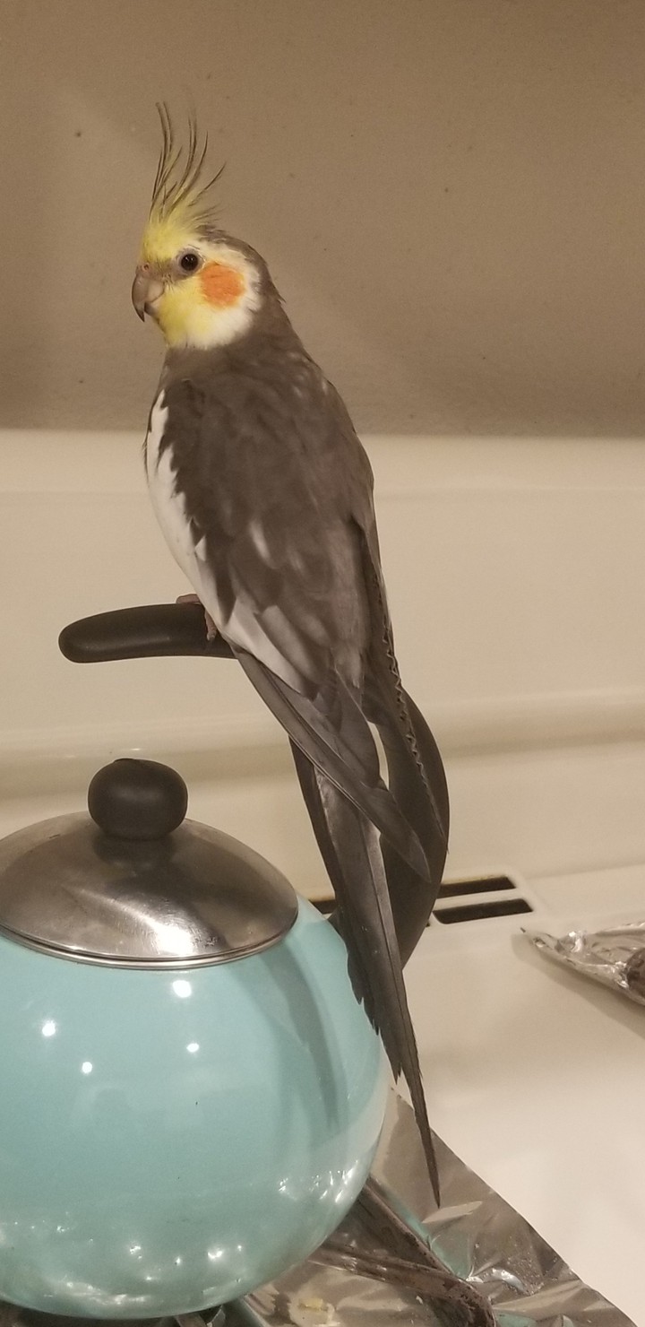 ☕