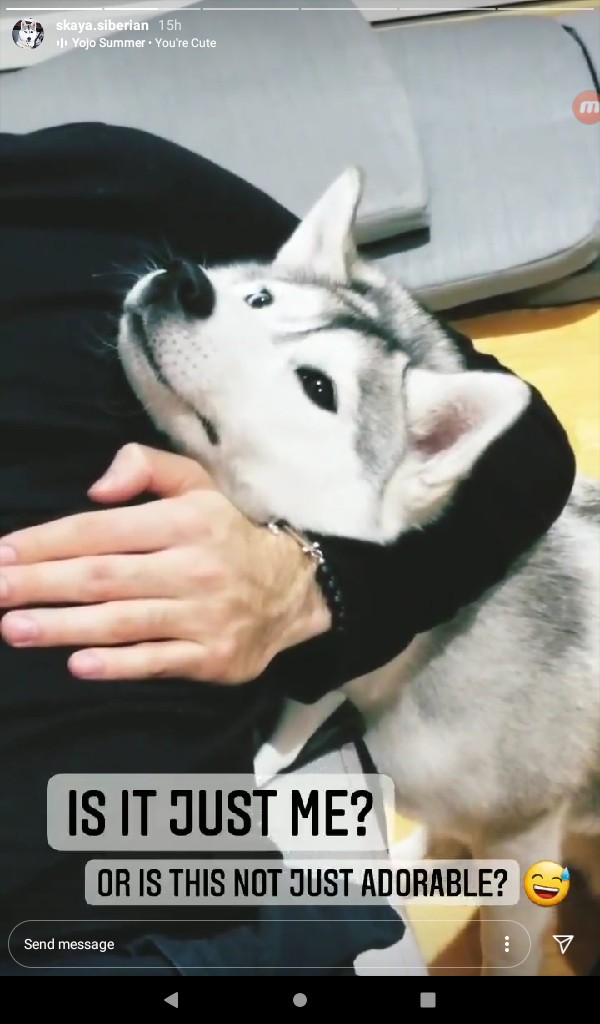 cute UwU