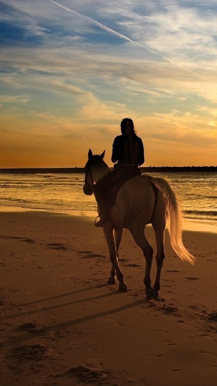Background horse