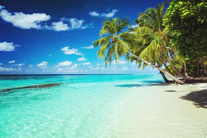 summer